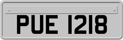 PUE1218