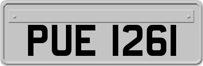 PUE1261