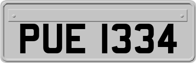 PUE1334