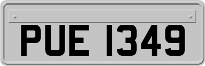 PUE1349