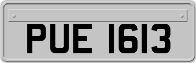 PUE1613