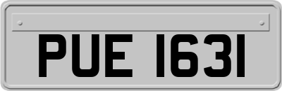 PUE1631