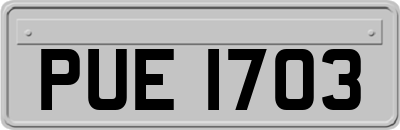 PUE1703