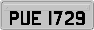PUE1729