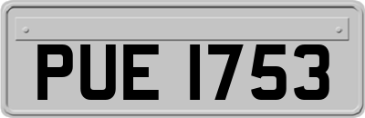 PUE1753