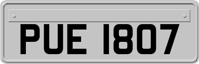 PUE1807