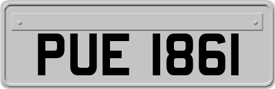 PUE1861