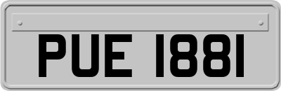 PUE1881