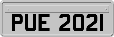 PUE2021