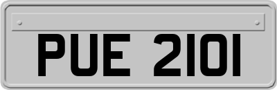 PUE2101
