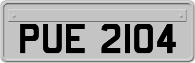 PUE2104