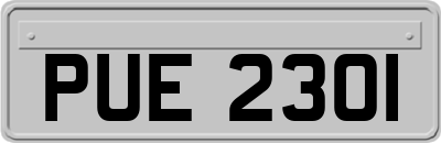 PUE2301