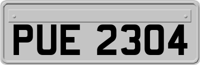 PUE2304