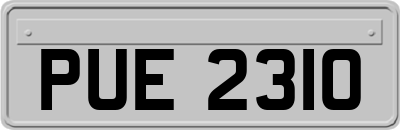 PUE2310