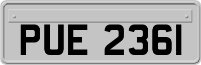 PUE2361