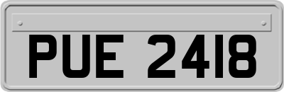PUE2418