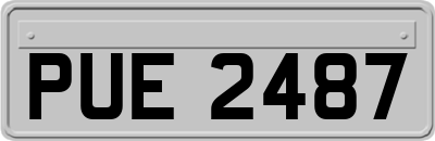 PUE2487