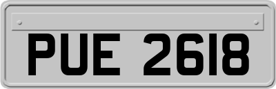 PUE2618