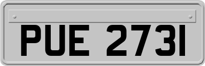 PUE2731