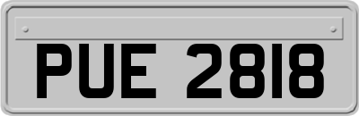 PUE2818