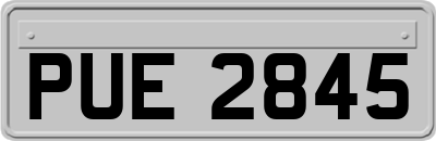 PUE2845