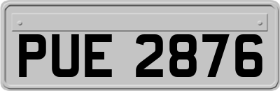 PUE2876