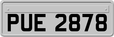 PUE2878