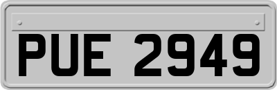 PUE2949
