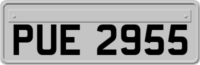 PUE2955