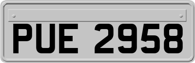 PUE2958