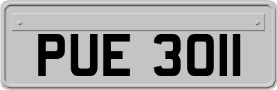 PUE3011