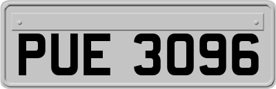 PUE3096