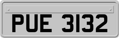PUE3132