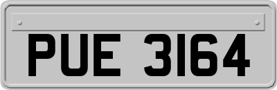 PUE3164