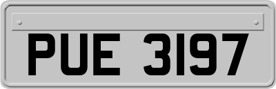 PUE3197
