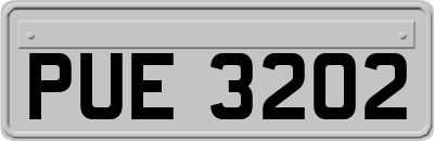 PUE3202