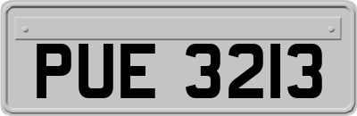 PUE3213