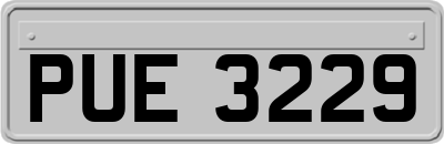 PUE3229