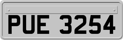 PUE3254