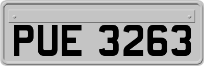 PUE3263
