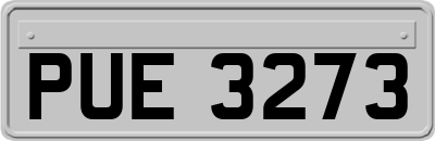 PUE3273