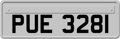 PUE3281