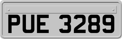 PUE3289