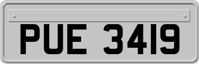 PUE3419