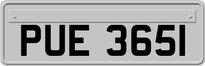 PUE3651