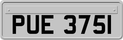PUE3751
