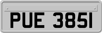 PUE3851