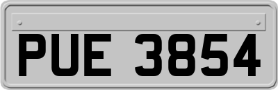 PUE3854