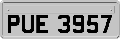 PUE3957