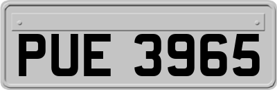 PUE3965
